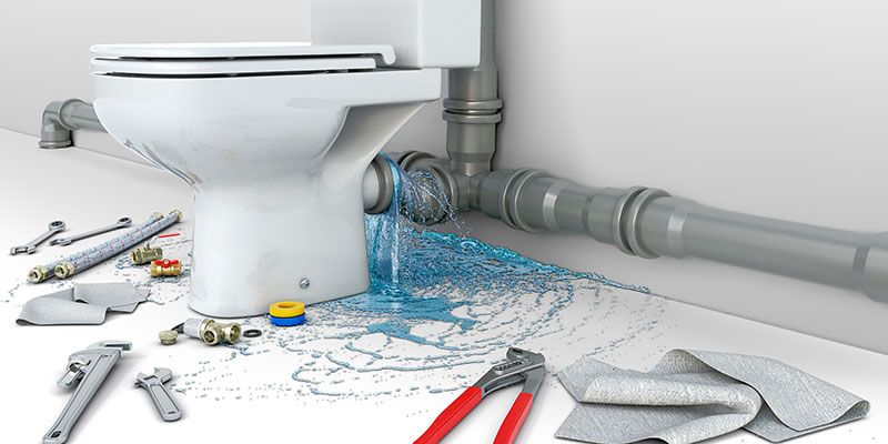 Fix a Leaking Toilet or Cistern